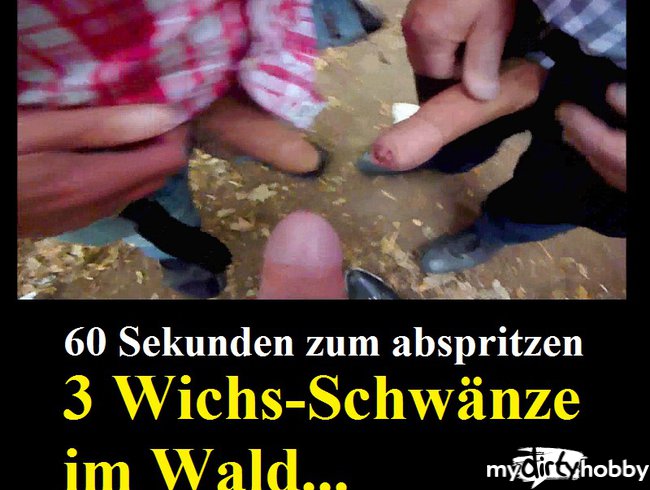 3 Mega Schwänze im Wald