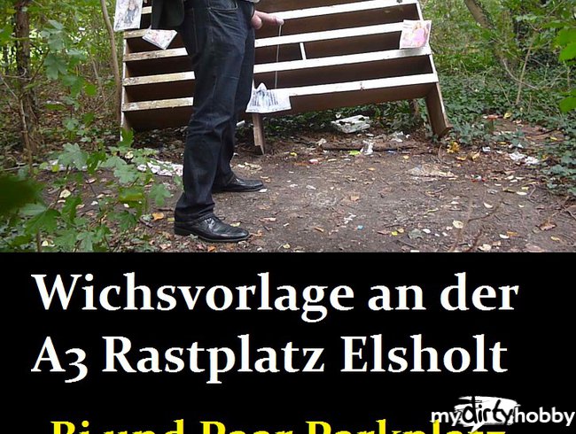 Wichsvorlage an der A3 Rastplatz Elsholt