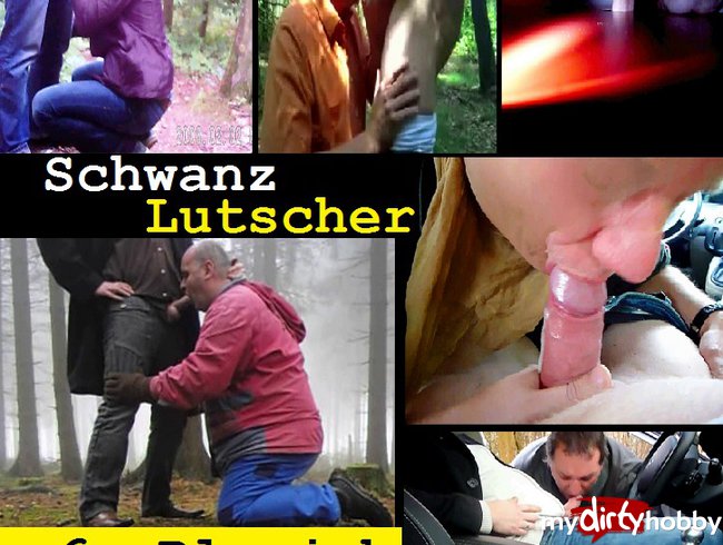 Schwanz Lutscher - 6mal geblasen