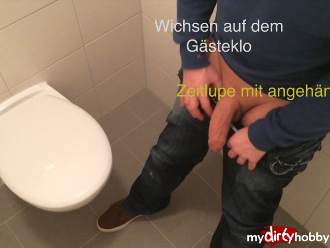 Wichsen auf dem Gästeklo - Zeitlupe