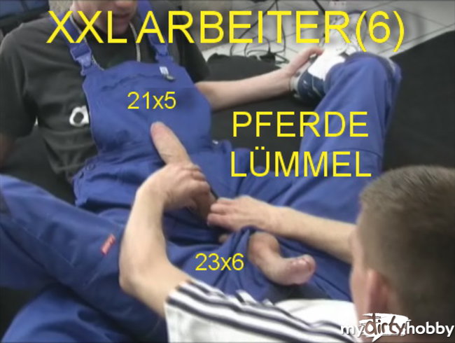 40) XXL ARBEITER(6) PFERDELÜMMEL