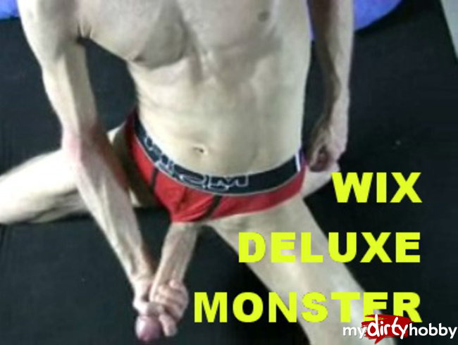 28) WIX DELUXE MONSTER