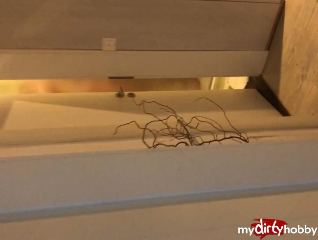 Video 039 - Hidden Cam Maxi mit der Cam unterwegs